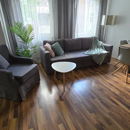 Rhein Living - Balkon Und Rheinpromenade *